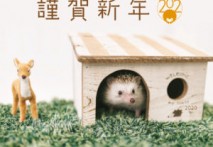 明けましておめでとうございます