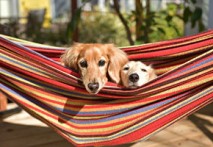 2022年 ゴールデンウィーク休業のお知らせ