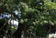 パワースポット