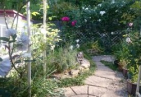 ローズガーデン