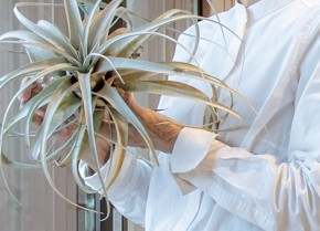 日常を感じさせない「リゾート感」を造りたくて、いっぱいこだわりました。